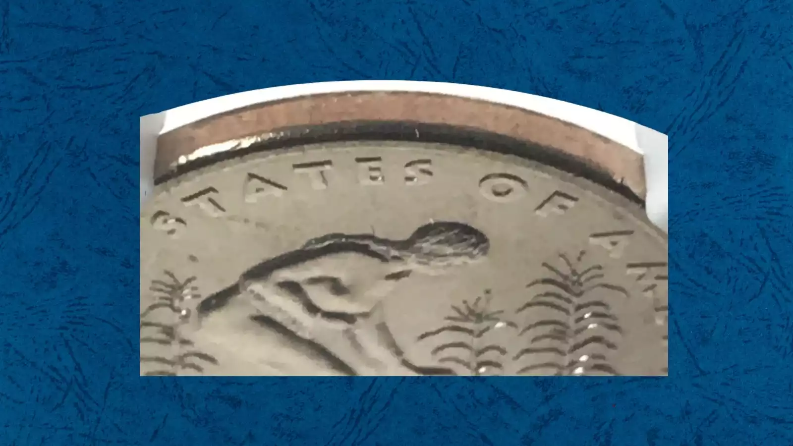 2009 Native American dollar missing edge lettering error showing completely smooth blank edge